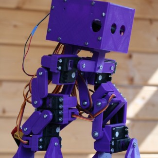 Illustration du profil de Peter de Crom