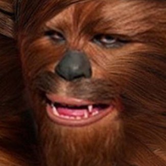 Profile picture of Johnson Campos