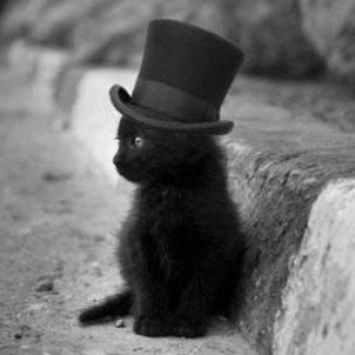 Illustration du profil de Satoru