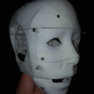 Profile picture of Francesco