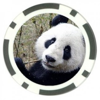 Profile picture of Laurent CREPIN