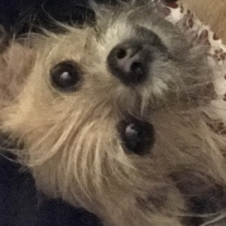 Profile picture of Katie