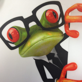 Illustration du profil de alain