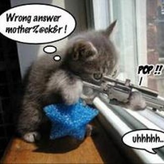 Illustration du profil de Susan Woods