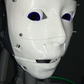 Illustration du profil de Profesor Robot - LRF UAI