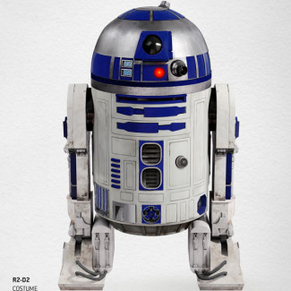 Illustration du profil de Louis Le Dain